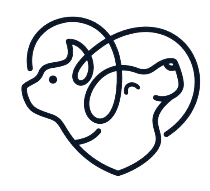 Pet Training