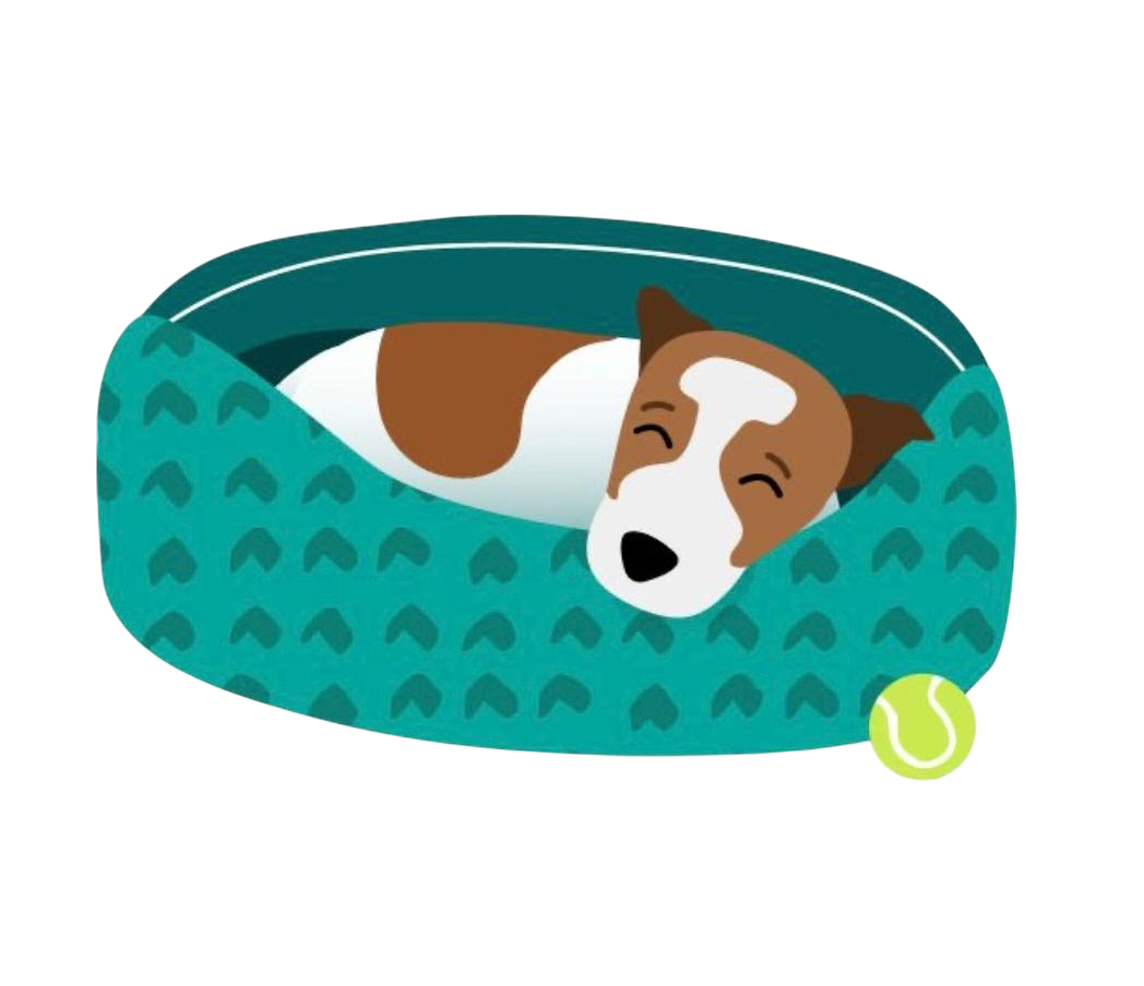 Dog Beds